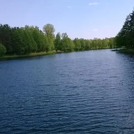 Gardino